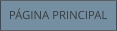 PÁGINA PRINCIPAL