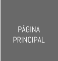 PÁGINA PRINCIPAL